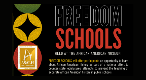 More Info for Freedom Schools