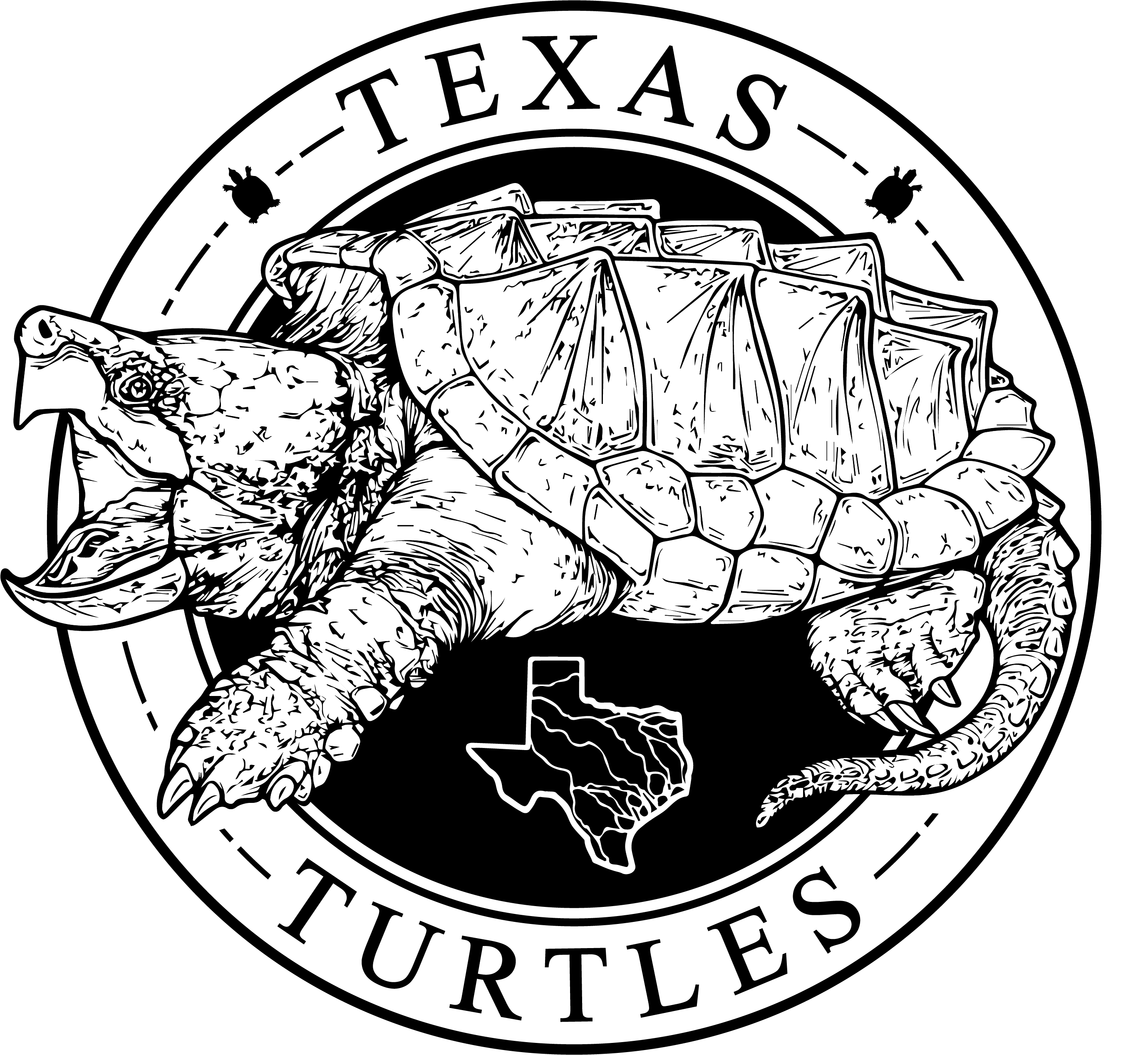 Texas Turtles Logo.png