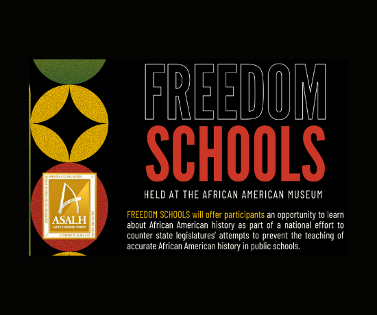 More Info for Freedom Schools