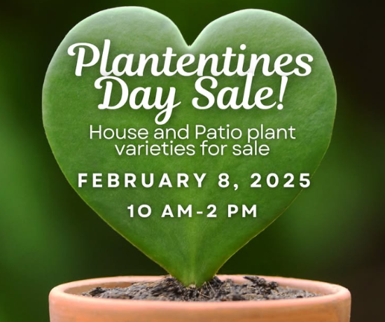 More Info for Plantentines Day Sale